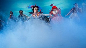 Vildgässen med Akka i spetsen Foto: David Skoog